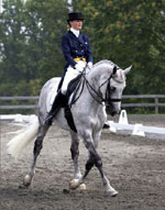 Click to go to the Equine Portrait Gallery